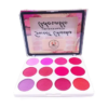BB 12 Blusher Palette