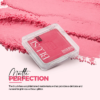 Inshine Professional Blush