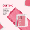 Inshine Professional Blush